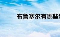 布鲁塞尔有哪些景点（布鲁塞尔）
