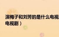 演梅子和刘芳的是什么电视剧（梅兰芳 1994年刘子蔚主演电视剧）