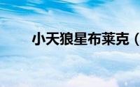小天狼星布莱克（小天狼星布莱克）