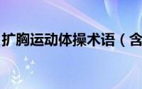 扩胸运动体操术语（含胸 体操基本技术术语）