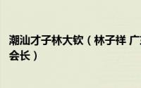潮汕才子林大钦（林子祥 广东省潮汕文学院艺术委员会名誉会长）