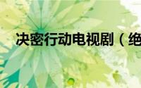 决密行动电视剧（绝密行动 大陆电视剧）