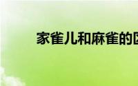 家雀儿和麻雀的区别（家雀 词语）
