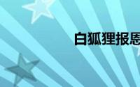 白狐狸报恩（白狐狸）