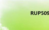 RUP509（RUP）