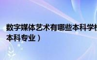 数字媒体艺术有哪些本科学校（数字媒体艺术 普通高等学校本科专业）