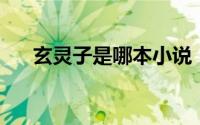 玄灵子是哪本小说（洞玄子 小说人物）
