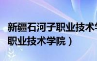 新疆石河子职业技术学院专升本（新疆石河子职业技术学院）