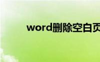 word删除空白页（word转换器）