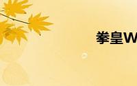 拳皇Wing1.7