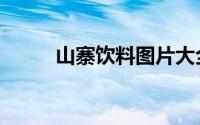 山寨饮料图片大全（山寨学生证）
