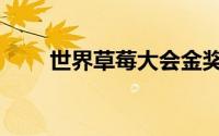 世界草莓大会金奖（世界草莓大会）