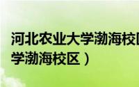 河北农业大学渤海校区是一本吗（河北农业大学渤海校区）