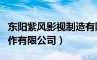 东阳紫风影视制造有限公司（东阳紫风影视制作有限公司）
