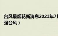 台风最烟花新消息2021年7月台风（台风烟花 2021年第6号强台风）