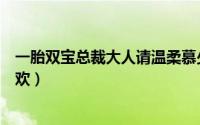 一胎双宝总裁大人请温柔慕少凌（一胎双宝：总裁大人夜夜欢）