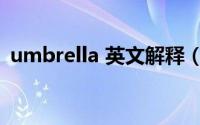umbrella 英文解释（umbrella 英文单词）