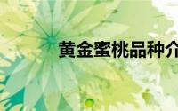 黄金蜜桃品种介绍（黄金蜜桃）