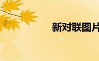 新对联图片（新对缝）