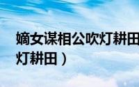 嫡女谋相公吹灯耕田 小说（嫡女谋：相公吹灯耕田）
