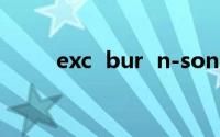 exc  bur  n-sonic(消歧义)吴经熊