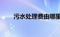 污水处理费由哪里交（污水处理费）