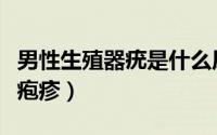 男性生殖器疣是什么原因造成的（男性生殖器疱疹）