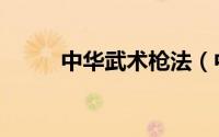 中华武术枪法（中华武术闯异界）