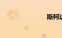 斯柯达明锐