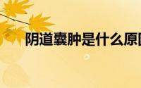 阴道囊肿是什么原因引起（阴道干涩）