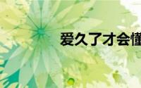 爱久了才会懂（爱了才懂）