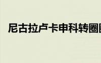 尼古拉卢卡申科转圈圈（尼古拉卢卡申科）