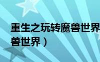 重生之玩转魔兽世界txt精校（重生之玩转魔兽世界）