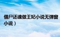 借尸还魂做王妃小说无弹窗（借尸还魂做王妃 司徒锦筝所著小说）