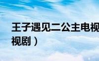 王子遇见二公主电视剧（王子看见二公主 电视剧）