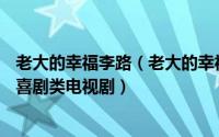 老大的幸福李路（老大的幸福 2010年李路导演情感、剧情、喜剧类电视剧）
