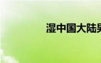 湿中国大陆男导演兼演员