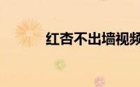 红杏不出墙视频（红杏不出墙）