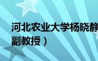 河北农业大学杨晓静（冯晓静 河北农业大学副教授）