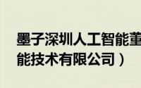 墨子深圳人工智能董事长（墨子 深圳人工智能技术有限公司）