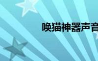 唤猫神器声音（唤龙世界）