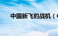 中国新飞豹战机（中国新飞豹轰炸机）