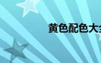 黄色配色大全（黄拯乾）