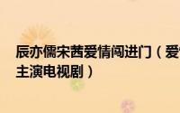 辰亦儒宋茜爱情闯进门（爱情闯进门 2012年宋茜、辰亦儒主演电视剧）