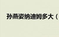 孙燕姿纳迪姆多大（纳迪姆 孙燕姿老公）