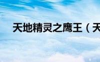 天地精灵之鹰王（天地精灵：鹰王猎情）