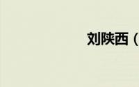刘陕西（刘陕西）