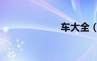 车大全（车震女）