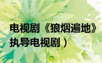 电视剧《狼烟遍地》（遍地狼烟 2011年虎子执导电视剧）