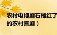 农村电视剧石榴红了（石榴红了 付百良执导的农村喜剧）
